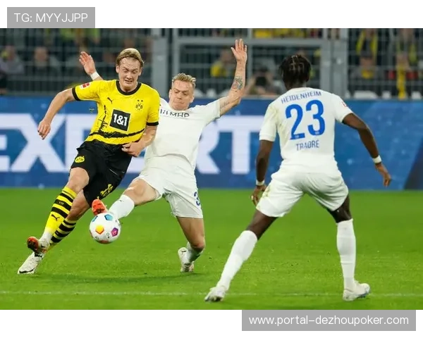 海登海姆两度扳平多特蒙德，升班马保级斗志不减